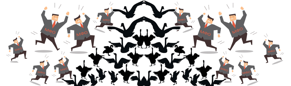 Black-Swan-and-Kings-Dragon